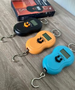 BALANZA ELECTRONICA 50KG STARVISION SV-810